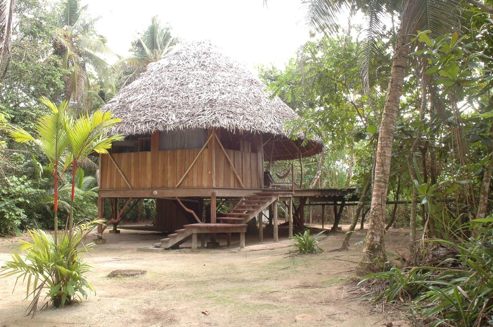 Al Natural Resort Bocas Town Szoba fotó